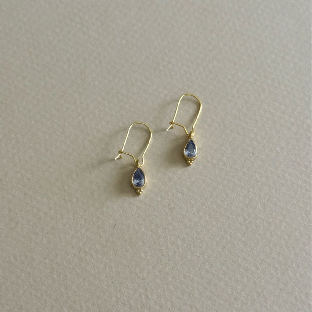 Teardrop Earrings N912